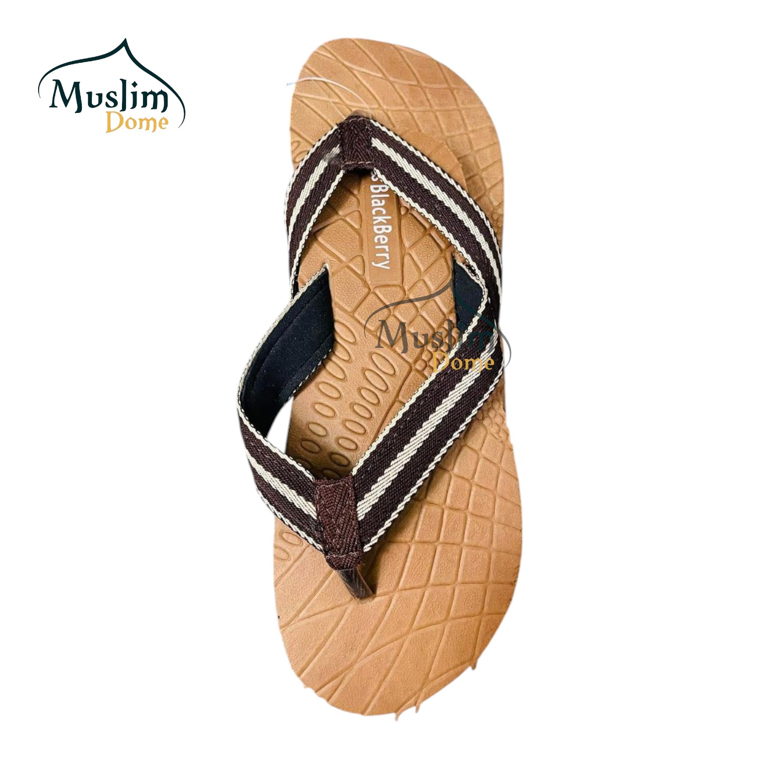 বার্মিজ স্লিপার